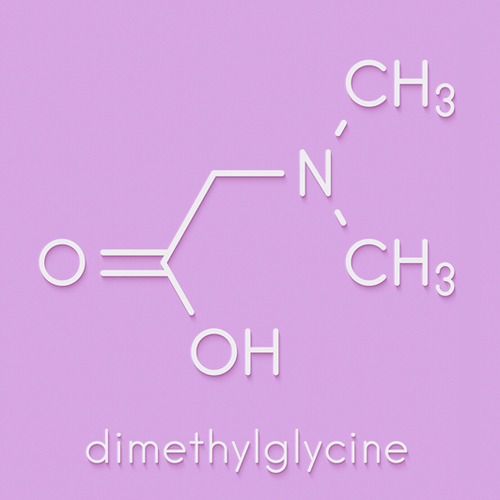 Dimethylglycine (dmg)