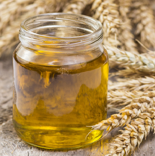 Fermented wheat germ extract