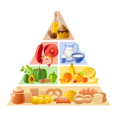 Food pyramids