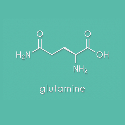 Glutamine