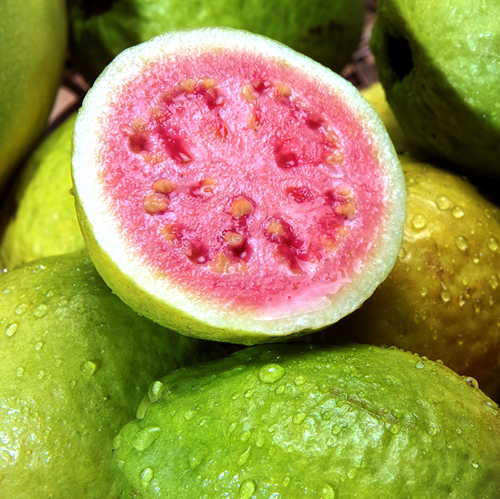 Guava