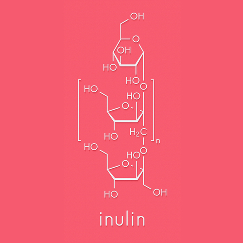 Inulin