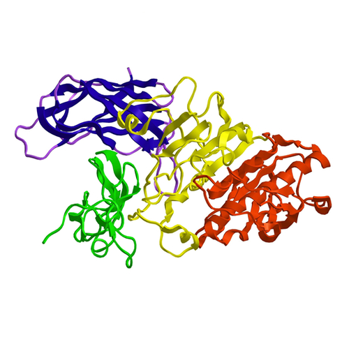 Lipase