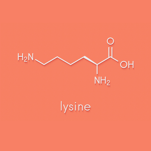 Lysine