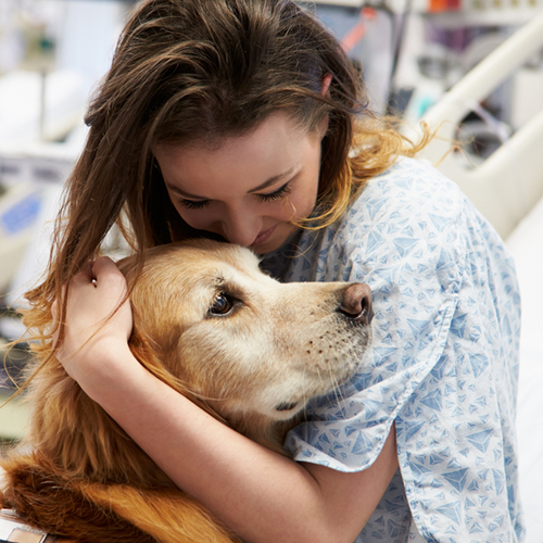 Animal-assisted therapy