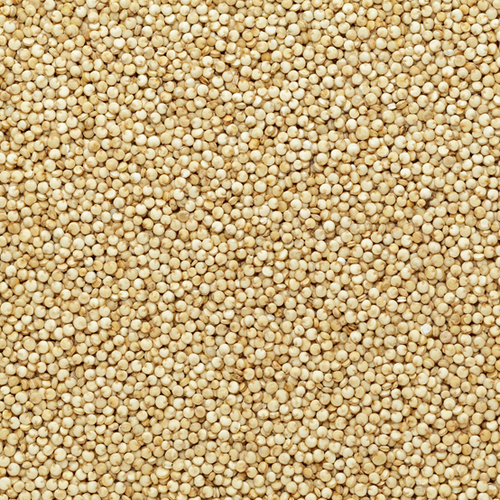 Quinoa