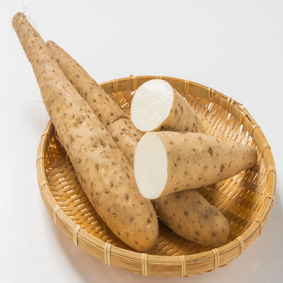 Wild yam