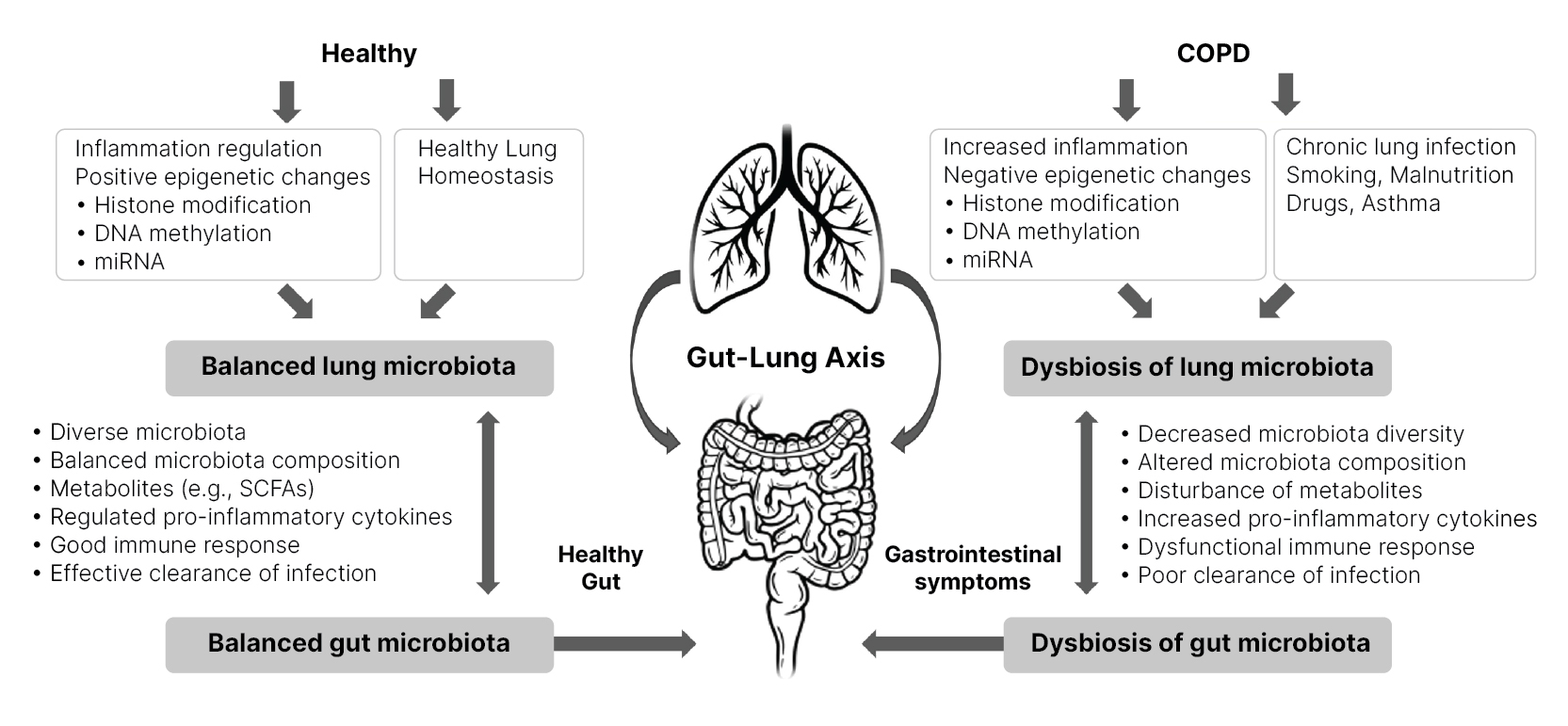 COPD and gut-lung axis Fig1