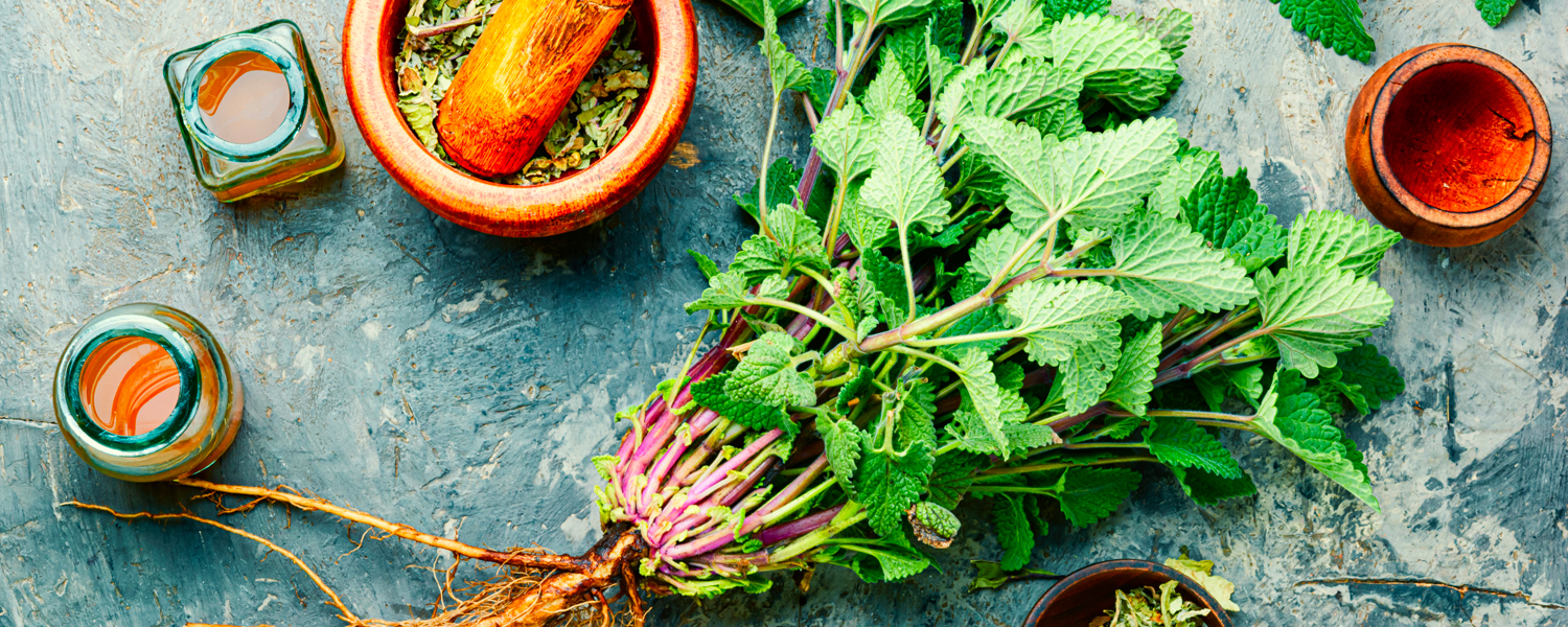 Lemon Balm