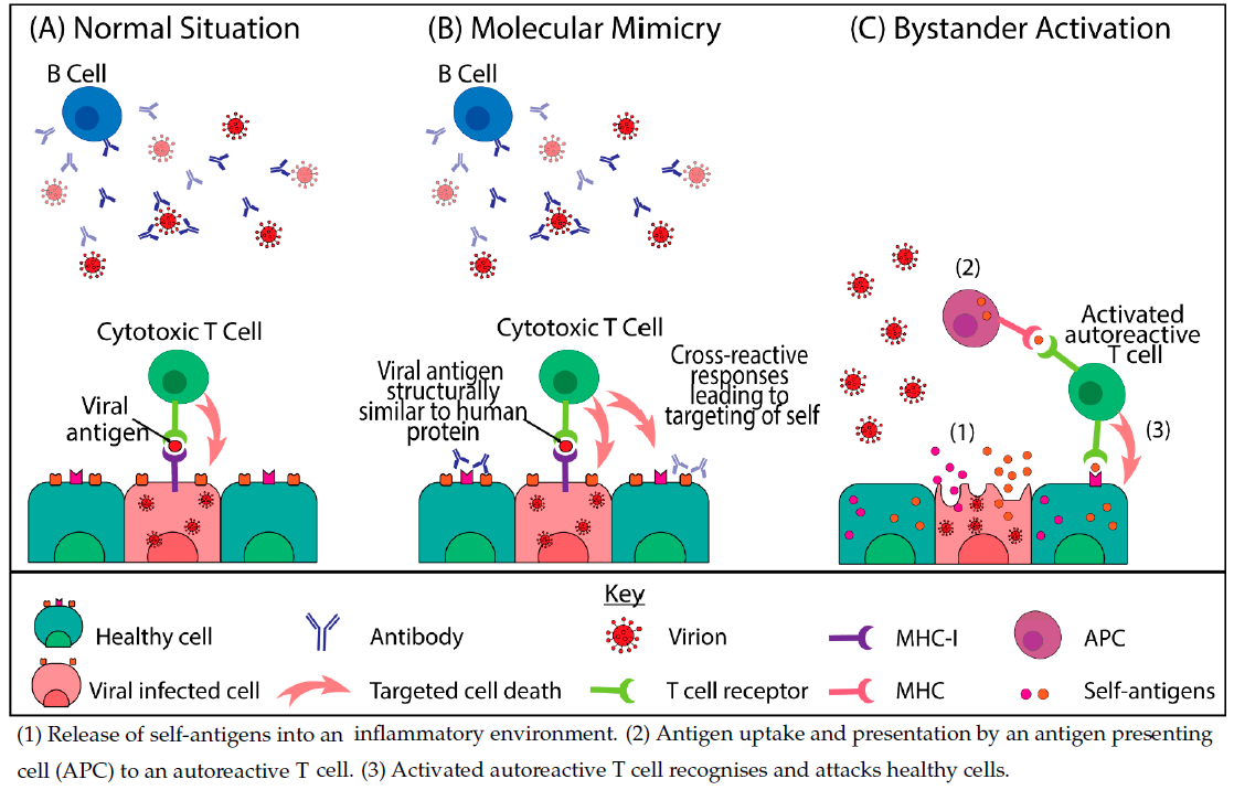 Figure 1 AI and long COVID