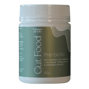 Pre-Biotic Gut Food
