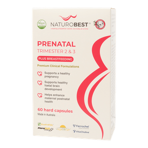 Prenatal Trimester 2 & 3 Plus Breastfeeding