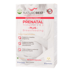 Prenatal Trimester 2 & 3 Plus Breastfeeding