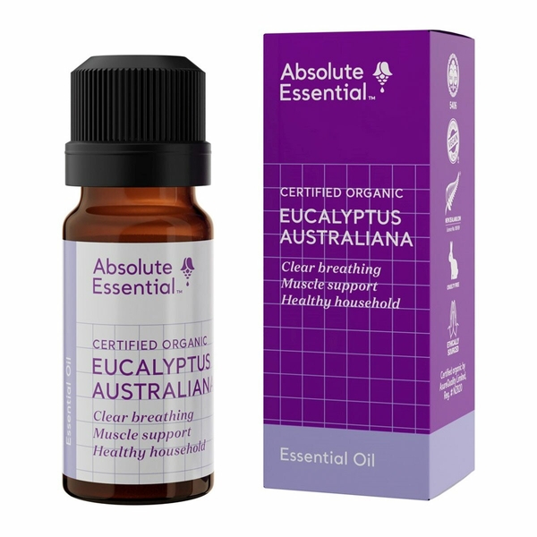 Eucalyptus Australiana