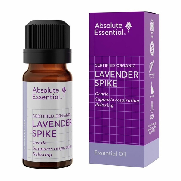 Lavender Spike