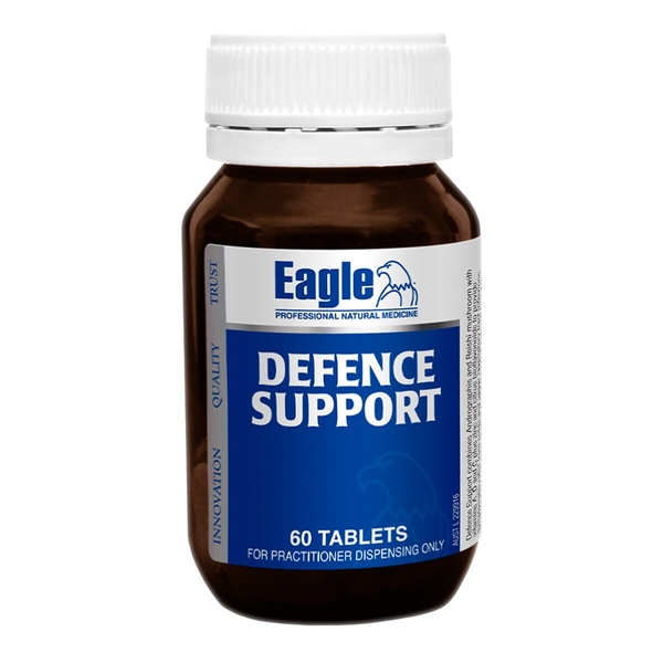 Defence Support