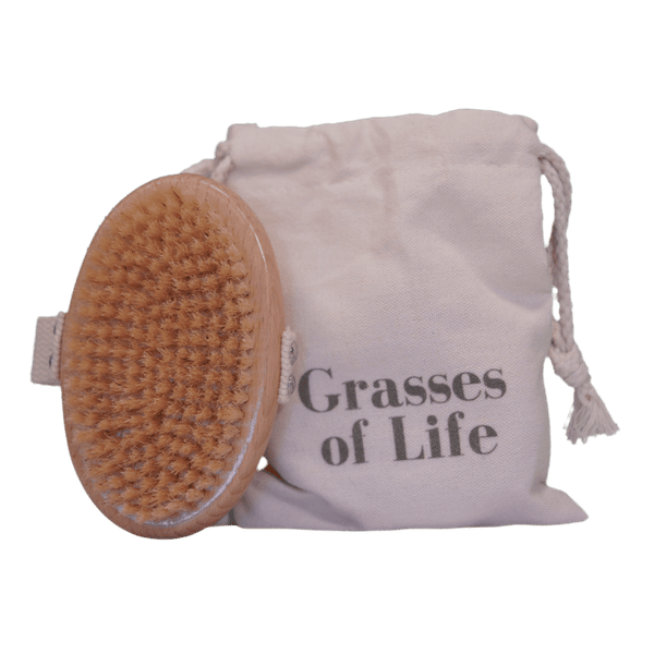 Boar Bristle Dry Body Brush