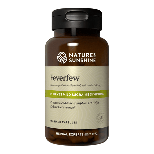 Feverfew