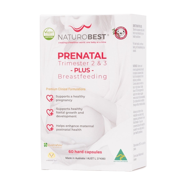 Prenatal Trimester 2 & 3 Plus Breastfeeding